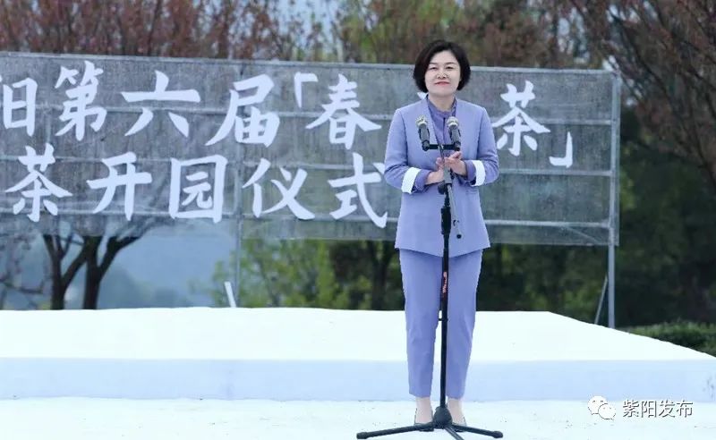 紫阳富硒茶背景（紫阳富硒茶哪个牌子好）-硒宝网