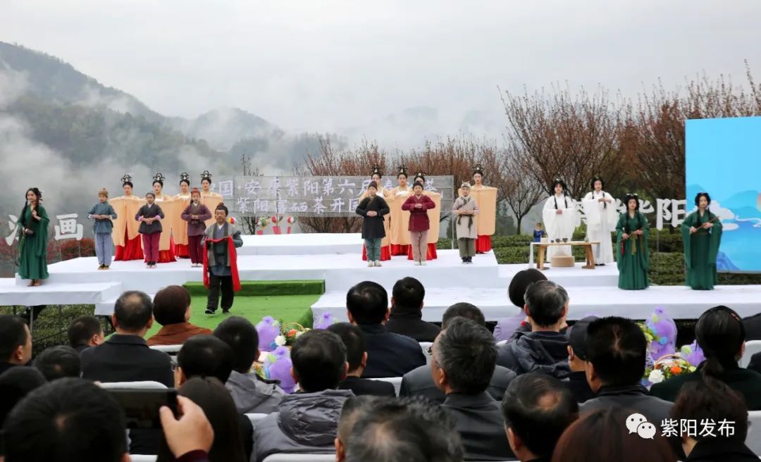 紫阳富硒茶背景（紫阳富硒茶哪个牌子好）-硒宝网