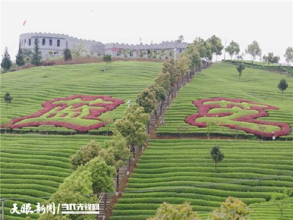 开阳富硒茶地址（开阳富硒茶叶）-硒宝网