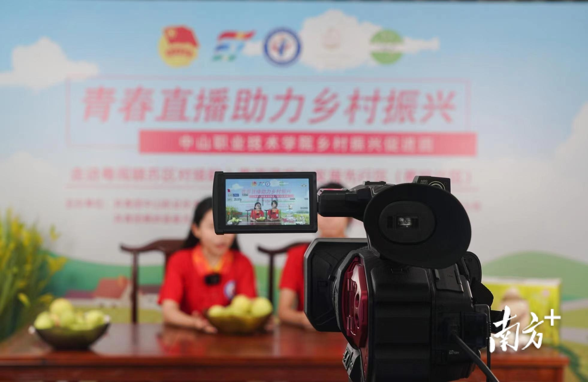 梅州蕉岭富硒茶(蕉岭富硒绿茶价格)-硒宝网