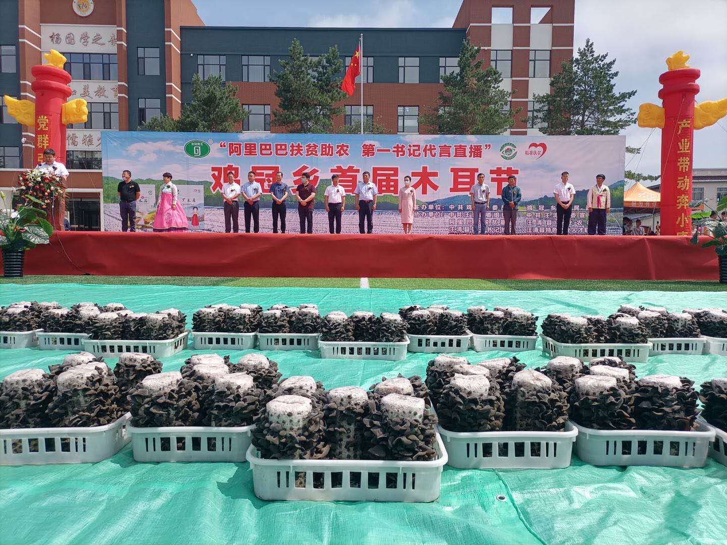 梅州蕉岭富硒茶(蕉岭富硒绿茶价格)-硒宝网