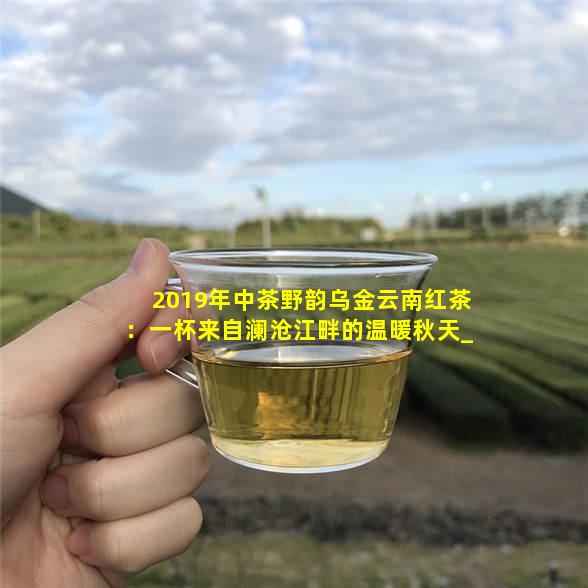 乌江富硒茶红茶（乌江富硒茶多少钱一斤）-硒宝网