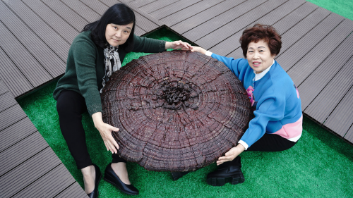 野生富硒帝皇茶（帝皇养生茶）-硒宝网