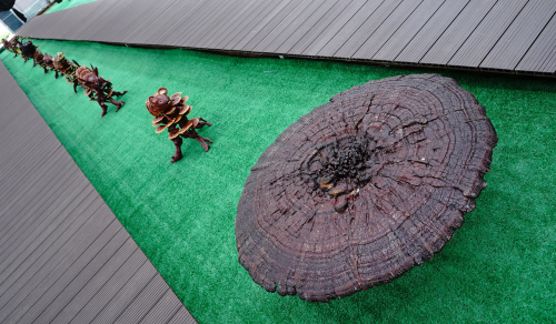 野生富硒帝皇茶（帝皇养生茶）-硒宝网