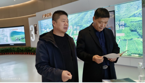 野生富硒帝皇茶（帝皇养生茶）-硒宝网