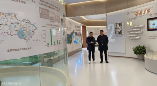 野生富硒帝皇茶（帝皇养生茶）-硒宝网