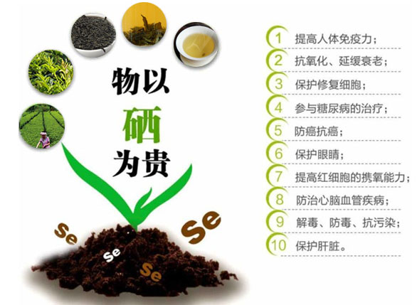 富硒黄金茶作用(富硒黄金茶怎样冲泡)-硒宝网