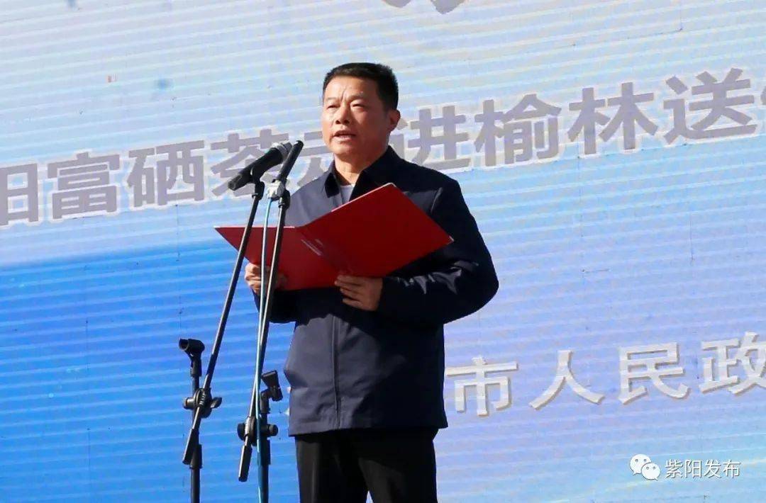 紫阳精品富硒茶(紫阳富硒茶多少钱一斤)-硒宝网