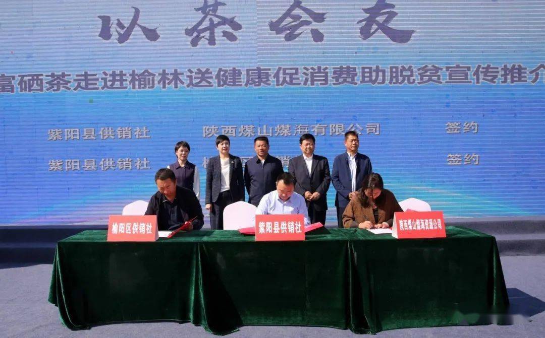 紫阳精品富硒茶(紫阳富硒茶多少钱一斤)-硒宝网