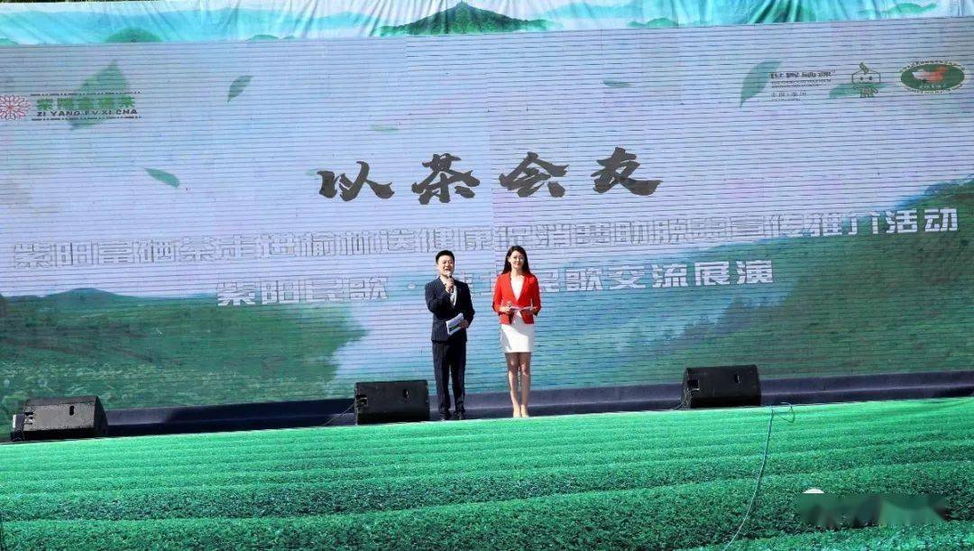 紫阳精品富硒茶(紫阳富硒茶多少钱一斤)-硒宝网