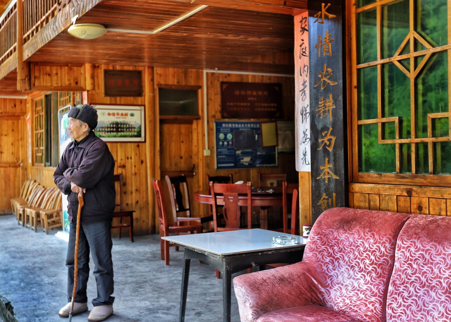 贵州富硒茶绿茶（富硒绿茶的主要特征是什么）-硒宝网