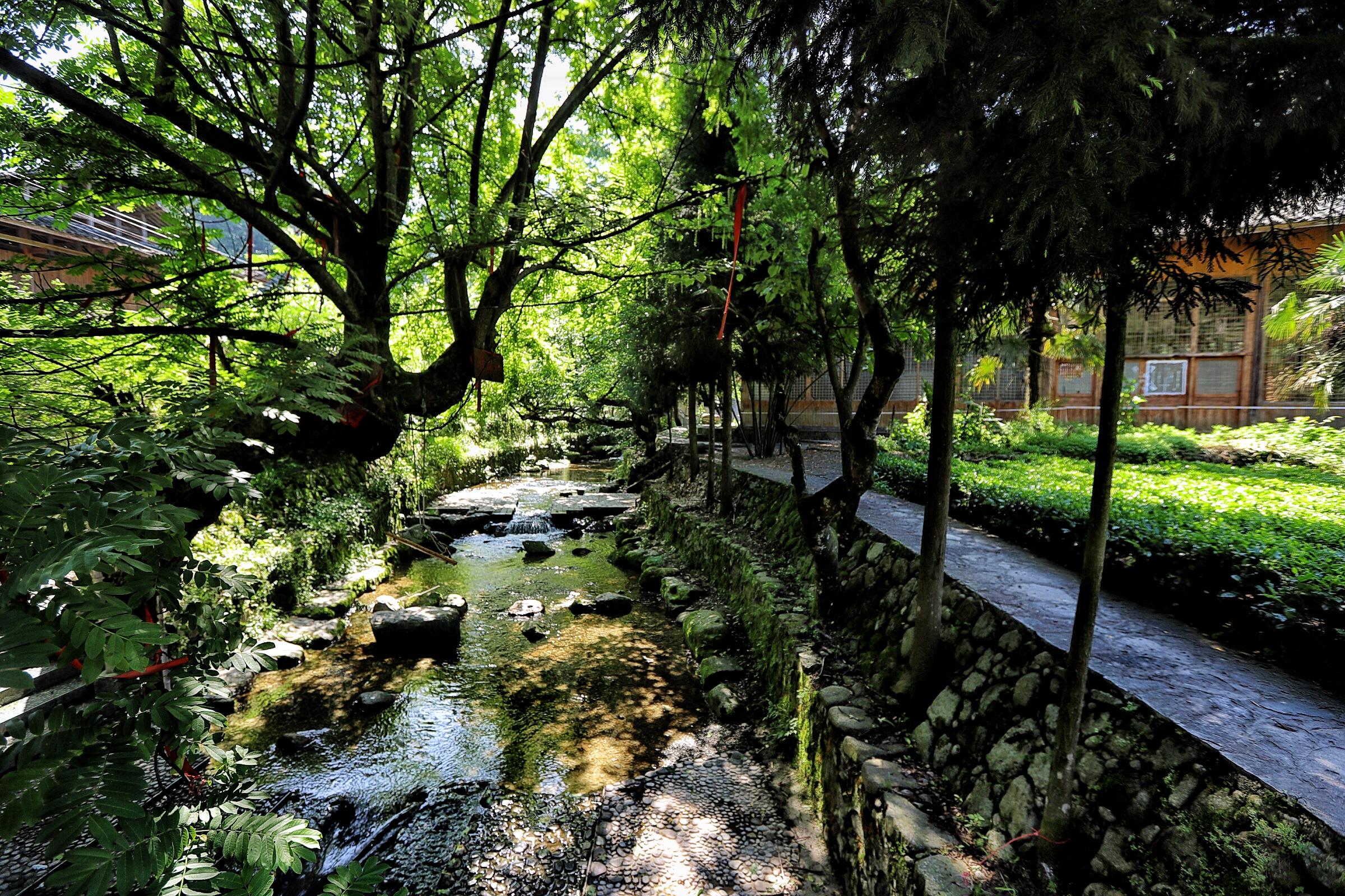 贵州富硒茶绿茶（富硒绿茶的主要特征是什么）-硒宝网