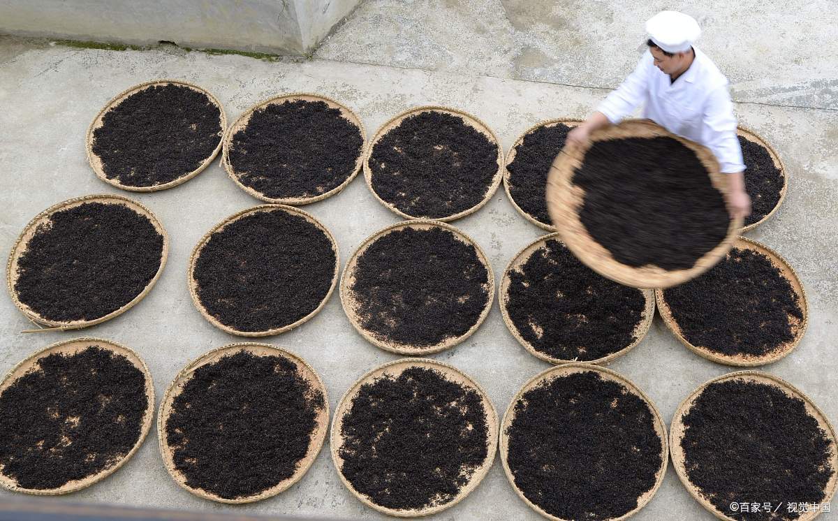 贵州富硒茶绿茶（贵州富硒绿茶多少钱一斤）-硒宝网