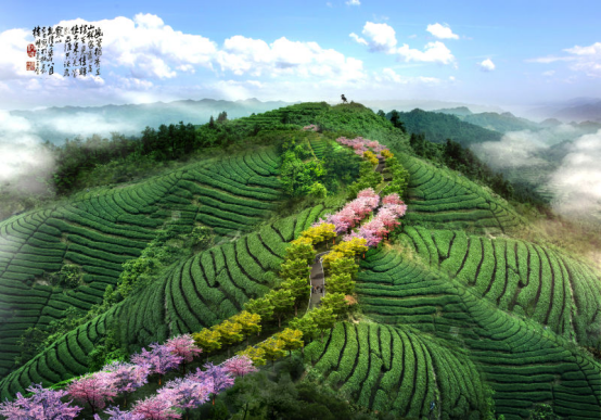 富硒黄金茶作用(黄金茶的好处)-硒宝网