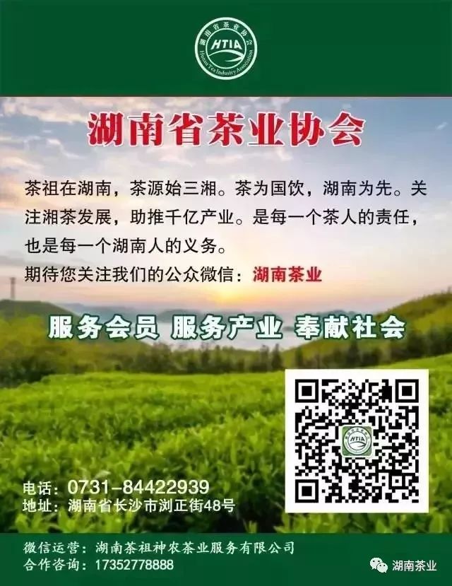 富硒黄金茶作用(黄金茶的好处)-硒宝网