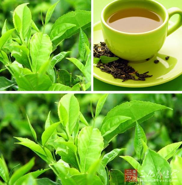 紫阳富硒茶味道（紫阳富硒茶焕古茶价格）-硒宝网