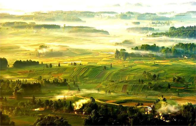 同安富硒有机茶(富硒茶具)-硒宝网