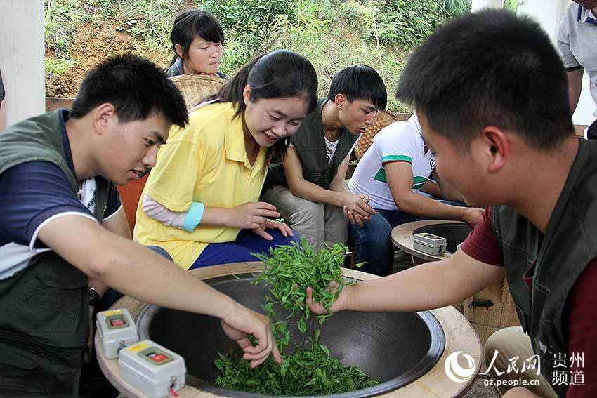 同安富硒有机茶（富硒茶园）-硒宝网