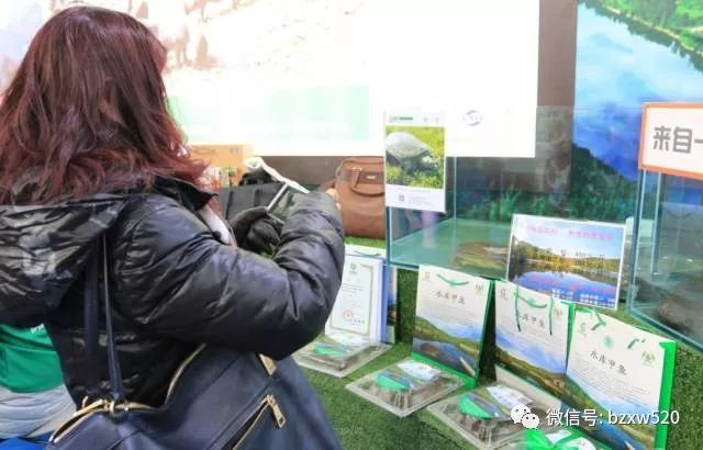 巴中通江富硒茶（巴东富硒茶）-硒宝网