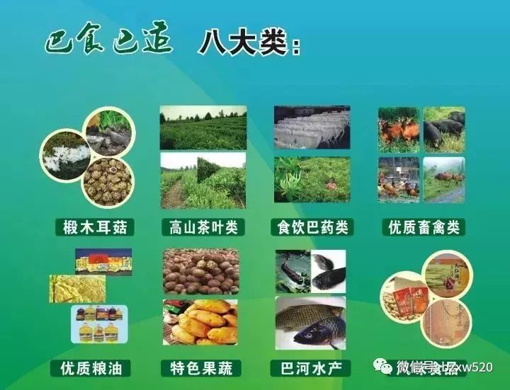 巴中通江富硒茶（巴东富硒茶）-硒宝网