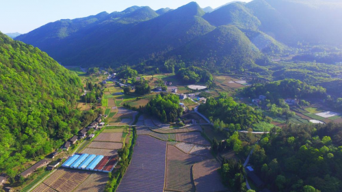 恩施富硒茶营销（恩施硒茶广告语）-硒宝网