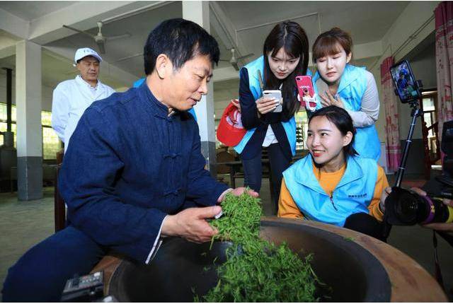 原生茶业富硒茶（原生茶叶富硒茶）-硒宝网