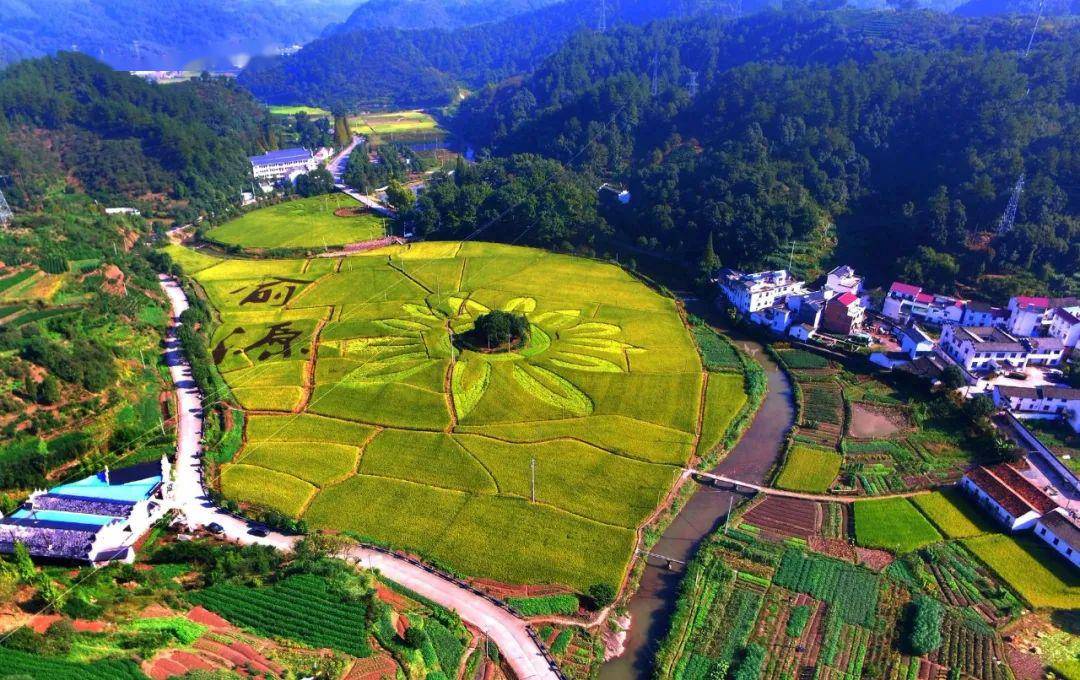 原生茶业富硒茶（原生茶叶富硒茶）-硒宝网