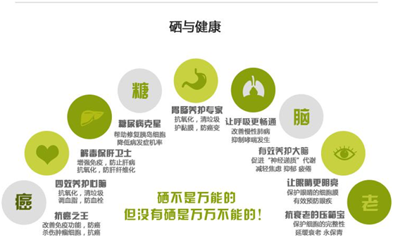 富硒茶推广方案(推广茶叶宣传标语)-硒宝网