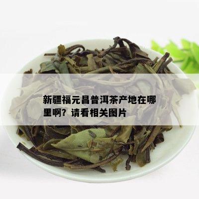富硒茶产自哪里(富硒茶产品的市场分析)-硒宝网