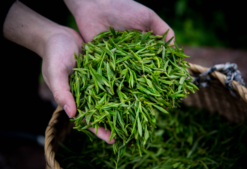 怎样辨别富硒茶(富硒茶和普通茶的区别)-硒宝网