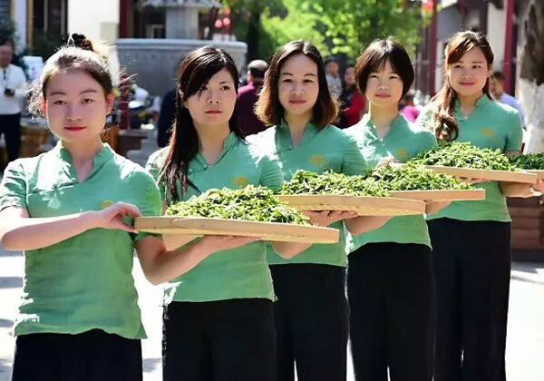 安康富硒茶劣势（安康富硒茶属于绿茶吗）-硒宝网