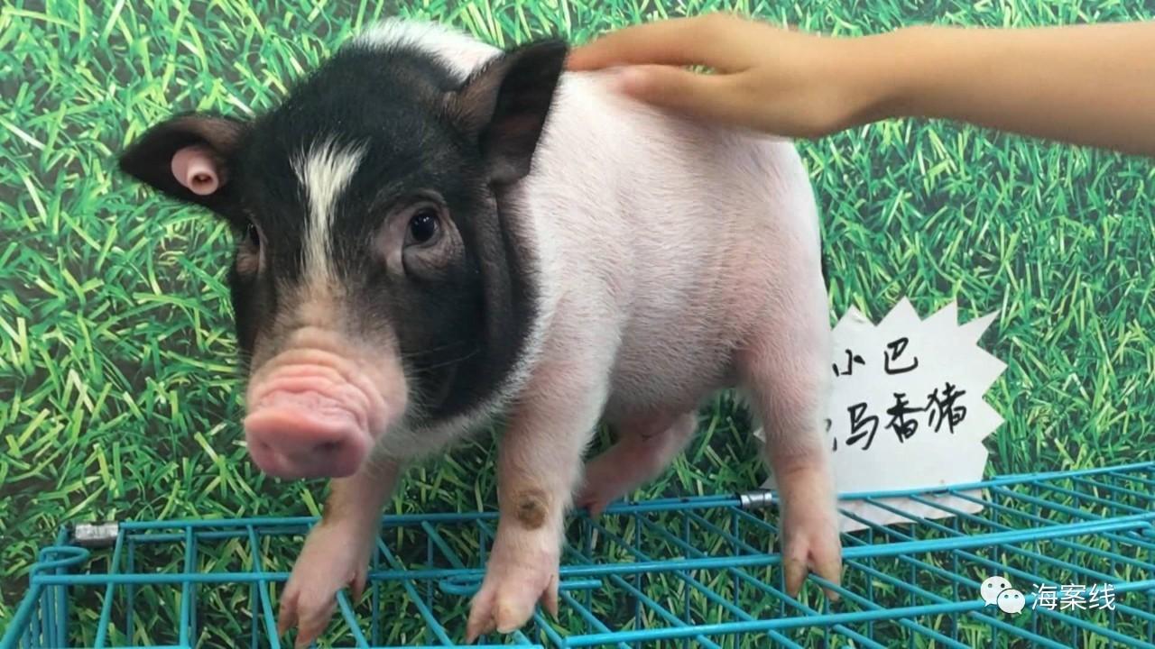 广西富硒茶标准(富硒茶标准含量)-硒宝网