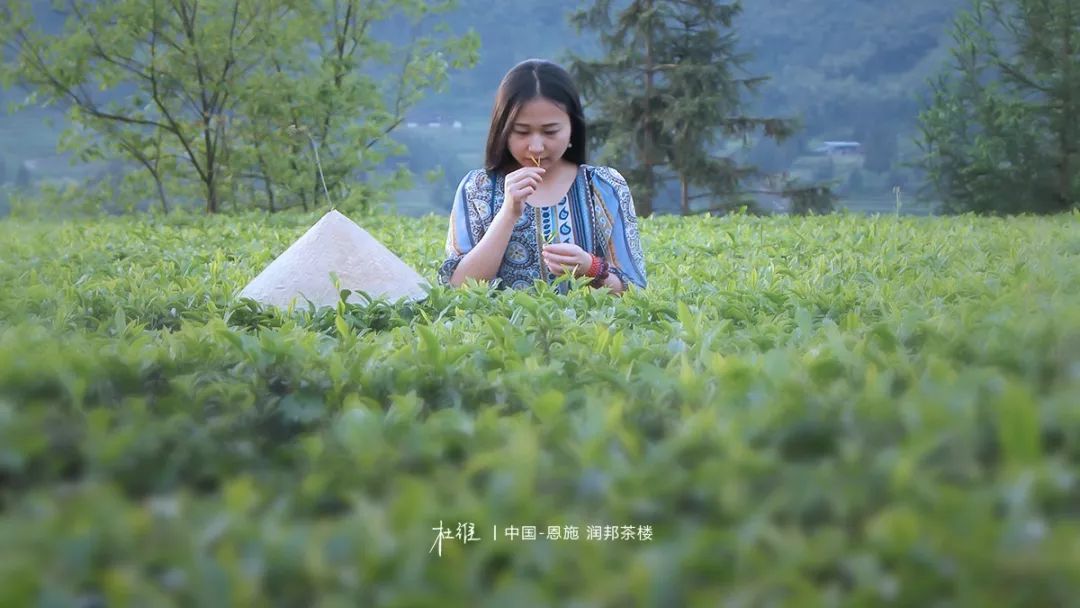 富硒茶恩施利川(利川富硒茶叶)-硒宝网