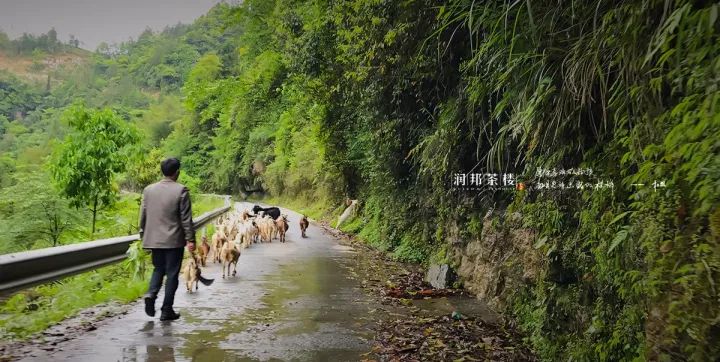 富硒茶恩施利川(利川富硒茶叶)-硒宝网