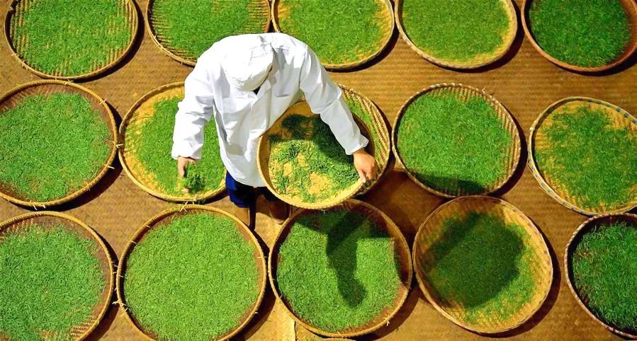 富硒茶恩施利川(利川富硒茶叶)-硒宝网