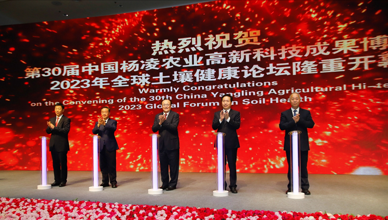 那里盛产富硒茶(富硒茶产业国内现状)-硒宝网