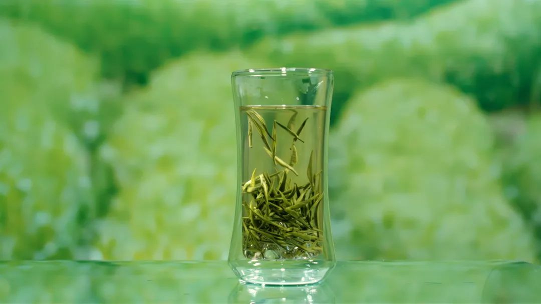 安康富硒茶礼盒（安康富硒茶怎么样）-硒宝网