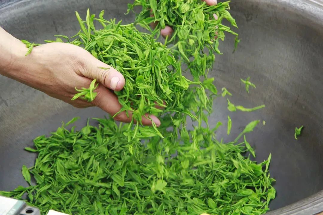 安康富硒茶礼盒（安康富硒茶怎么样）-硒宝网