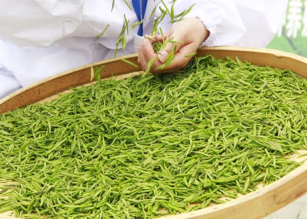 安康富硒茶礼盒（安康富硒茶怎么样）-硒宝网