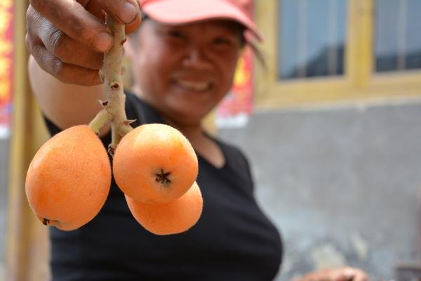 开阳正宗富硒茶(开阳富硒茶属于什么茶)-硒宝网