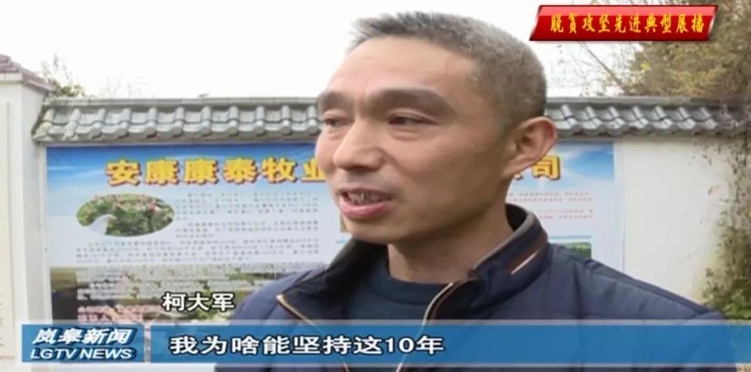 富硒桑叶茶供应(供应批发桑叶茶)-硒宝网