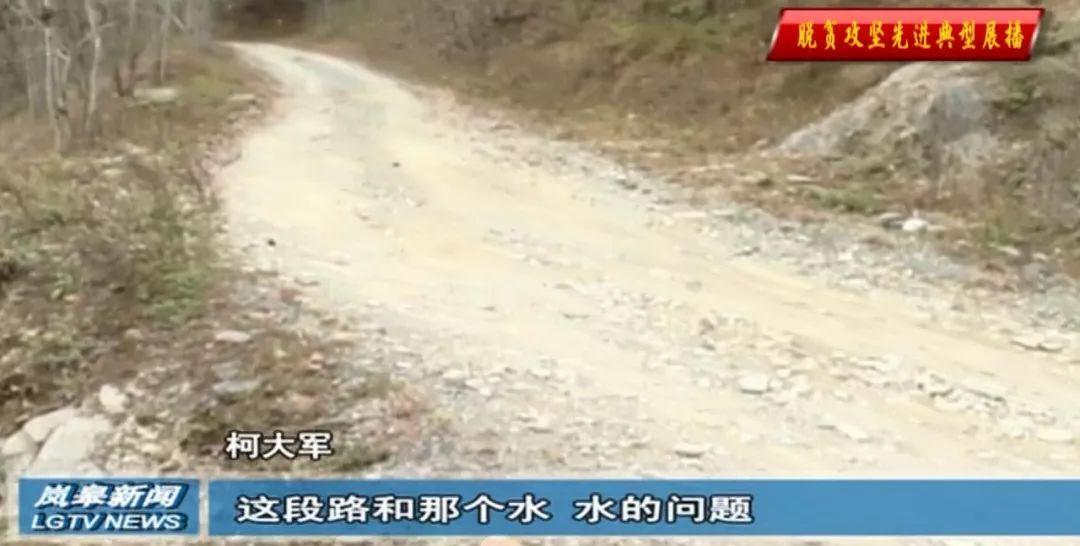 富硒桑叶茶供应(供应批发桑叶茶)-硒宝网