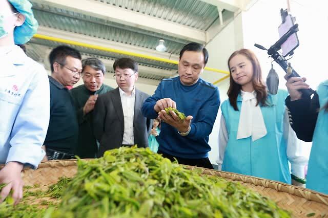 汉水晨雾富硒茶(汉水晨雾富硒茶)-硒宝网