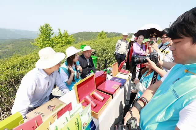 汉水晨雾富硒茶(汉水晨雾富硒茶)-硒宝网
