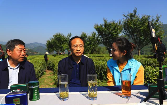 汉水晨雾富硒茶(汉水晨雾富硒茶)-硒宝网