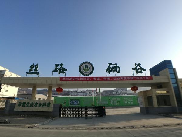 富硒桑叶茶供应(桑叶茶的价钱)-硒宝网