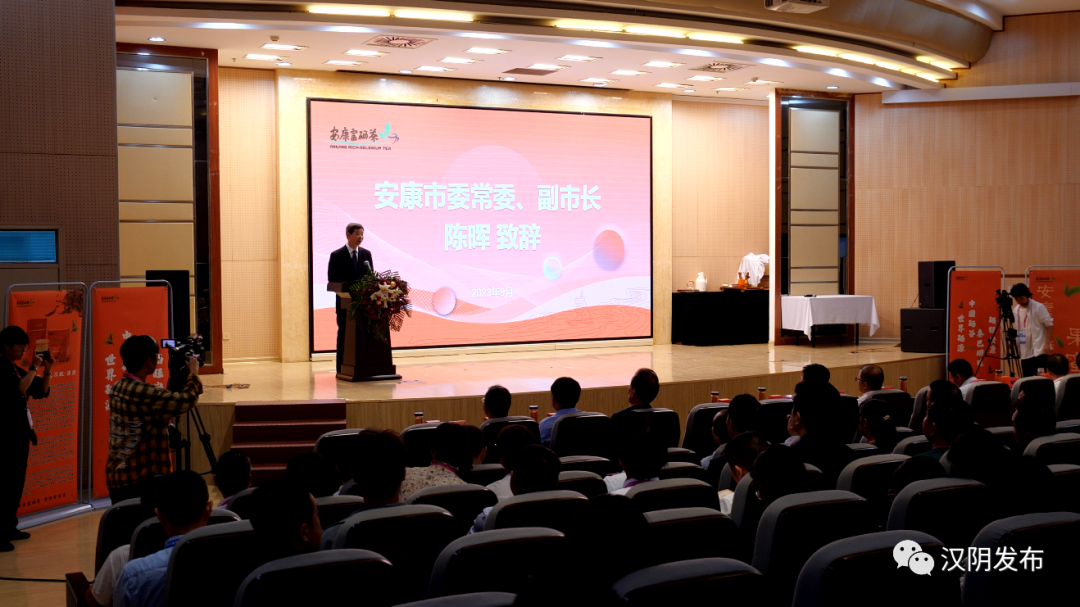 沈阳安康富硒茶(安康富硒茶发展情况)-硒宝网
