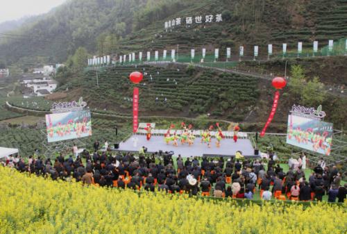 沈阳安康富硒茶（陕西安康富硒茶）-硒宝网