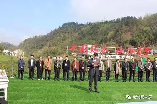 安康富硒茶礼盒（安康富硒茶多少钱一斤）-硒宝网