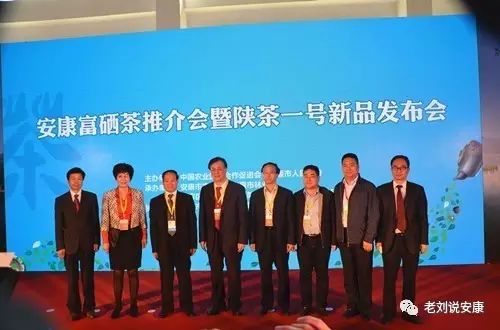 安康富硒茶礼盒（安康富硒茶多少钱一斤）-硒宝网